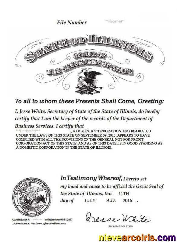 USA Illinois certificate of good standing